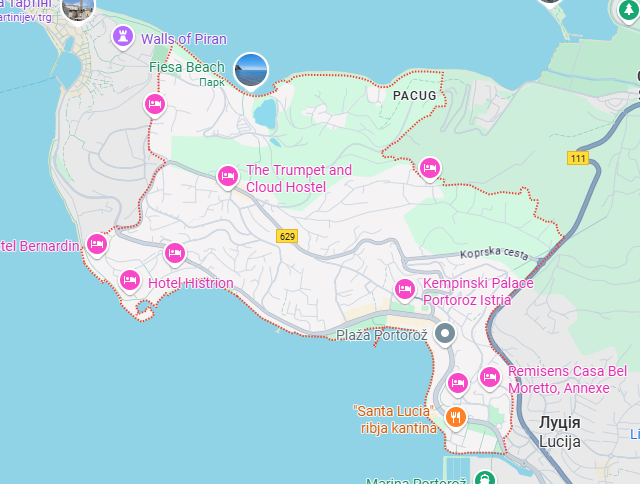 Вантажні перевезення бусом Порторож - Україна